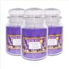 Palucart Candele profumate in Giara grande set da 3 candele profumate relax candle (Lavanda) - M