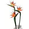 HAOSHICS 3 fiori artificiali di uccello del cielo, Strelitzia uccello del paradiso, piante in seta sintetica per la casa, ufficio, matrimonio, decorazione del centrotavola