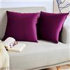 Blumtal Set di 2 Federe Cuscini Divano 30x50 cm in Velluto, con Chiusura Lampo Invisibile, Eleganti Copricuscini Divano in Morbido Velluto,Taglia 30 x 50, Melanzana