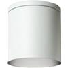 Partenopea Plafoniera faretto cilindrico tondo per soffitto da esterno IP54 per balconi terrazza patio androni Bagno cucina dotato di attacco per lampadine GU10 (Bianco, con lampadina luce bianco freddo 6500k)