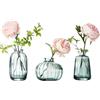 KMERCE 3 Pezzi Vaso da fiori in vetro verde, Piccolo Vaso trasparente Per Decor, Minimalista decorazione per Matrimonio, Cena Tavolo Partito Soggiorno Ufficio,regalo festa della mamma, battesimo