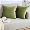 Blumtal Set di 2 Federe Cuscini Divano 40x60 cm in Velluto, con Chiusura Lampo Invisibile, Eleganti Copricuscini Divano in Morbido Velluto,Taglia 40 x 60, Verde