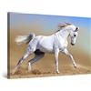 Startonight Quadro su Tela Cavallo Arabo, Grandi Quadri Animali Moderni Stampe Grande per Soggiorno Stampe Incorniciate 80x120 cm, Decorazione Parete, Idea Regalo Elegante Luminoso al Buio