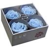 Verde stabilizzato Box 2x2 Rose Stabilizzate Made in Italy - Disponibile in Diversi Colori - 4 Rose Eterne Fiori Stabilizzati - Elegante Bouquet di Fiori Veri | Idea Regalo e Decorazioni (4 Azzurre)