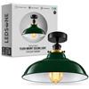 LEDSone Lampada da soffitto retrò vintage con rosone e portalampada in metallo retrò antico Edison E27 IP20 Lampada a vite cablata (Verde)