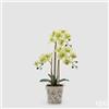 EDG Enzo De Gasperi Orchidea Phalaenopsis x3 con Bocciolo e Vaso Pianta Artificiale H 65 Cm Verde