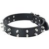 FUNAT Collare per Cani a doppia Fila con Borchie, Collare per Rivetti per Cani di Taglia Media e Grande, Catena per Cani con Collare per Cani In Pu