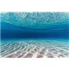 Didooou Adesivo autoadesivo per decorazione sottomarina dell'acquario, sfondo paesaggio naturale, adesivo per acquario con pesci corallo (50 * 100 cm / 19,7 * 39,4 pollici, spiaggia sottomarina)
