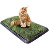 PetZolla Gatto Kit M - Cuccia estiva in vera erba con vassoio 90x52 cm | Letto per gatti con erba gatta naturale e atossico, Cuccia per gatti da interno dura fino a 3 mesi