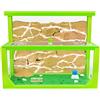 AntHouse - Formicaio Naturale di Sabbia 3D Verde | Kit L (Sandwich + Cassa di Foraggiamento) | Formiche Incluse con Regina