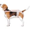 CAPASTEC Pannolini Per Cagne In Calore Pannolini Per Cucciolo Mutandine Fisiologiche Biancheria Intima Per Animali Domestici Lavabile E Riutilizzabile Con Bretelle Regolabili Rosa L