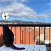 Ancecos Rete per Gatti, Rete per Gatti Balcone, con Filo Rinforzato, Resistente ai morsi, 8 x 3 m