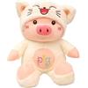 Syengery Animale di di suino,Maiale di | Peluche animale dei cartoni animati | Cuscino avvolgente per animali di peluche, morbido peluche a forma di maiale per bambini, decorazione della camera da