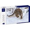 Lais Puzzle Leopardo delle nevi 2000 pezzi