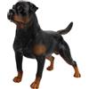 Abaodam Figurina Cane Rottweiler Nero in Plastica, Riproduzione Realistica | Insegnamento e Scienze Naturali, Adatto a Ragazzo Ragazza e Ragazzi, Decorazione per Casa e Studio