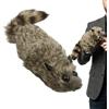 Generisch Magic Trick Raccoon | Plush Brown Spring Animal Portable 114 G Built In 9 Movements | Realistic Moving Prank Puppet Street Illusion Prop For Stage Party Birthday Christmas Shows | Holiday Entertainmen