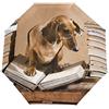HMZXZ RXYY - Ombrello pieghevole per cani con bassotto e apertura automatica, per donne, uomini, ragazzi, ragazze, antivento, compatto, da viaggio, leggero