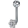 COCOCO 1 PZ Titanio Opale Figa Cappuccio Verticale Piercing sul Labbro Fiore di Cristallo Sexy Vagina Piercing Genitale VCH Piercing-Chiaro 1.6x11x5mm
