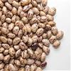 Il Contadino - Antichi Sapori FAGIOLI BORLOTTI LAMON ITALIA | Il Contadino | Legumi Secchi (20 Kg)