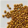 Il Contadino - Antichi Sapori FAGIOLI BRUNI | Il Contadino | Legumi Secchi (400g)