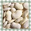 Farella Fagioli Corona 5kg prodotto di alta qualità, legumi secchi