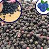 BULK & tasty. Disidratati Blue Berry Liofilizzati 600g | Mirtilli Selvatici Mirtilli Frutta Disidratata | Mirtilli Neri Senza Zucchero Secchi Freeze Dried Blueberry Wild Blaubeeren