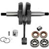 UYTGFO Adatto for decespugliatore STIHL FS400 FR450 FS450 FS480 40 mm 42 mm 44 mm Albero motore Pistone Cuscinetto a sfere Paraolio Set completo di guarnizioni(40mm FS400 Set)