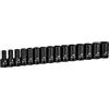 Capri Tools da 3/8 Drive - Set di bussole semi-profonde metriche, da 8 a 22 mm, 15 pezzi