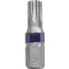 WOLFPACK Punte Cacciavite Torx 30 (2 pezzi). Acciaio S2 al cromo vanadio. Punte esagonali, punte,