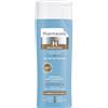 Pharmaceris H-Purin Special Shampoo antiforfora, shampoo antimicrobico per la pulizia profonda, riduce la seborrea sul cuoio capelluto, 250 ml