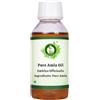 R V Essential Olio di Amla puro- 100ml (3.38oz) Emblica Officinalis (100% Puro e Naturale Rare Herb Series) Pure Amla Oil