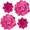 mishdacthgd Fermagli per capelli a forma di rosa, 4 pezzi, in tessuto, con fiori messicani, per donne, ragazze, matrimoni, feste, festa della mamma (fucsia)