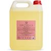 RAPTUS Drusilla Ricarica 5 Litri - Ricarica Professionale per Diffusori d'Ambiente 5000 ml con Bastoncini Inclusi | Fragranza Dolce Talcata e Cremosa | Ricarica fino a 16 Diffusori da 300 ml