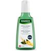 Rausch 11865 - Shampoo al Ginseng e alla Caffeina Anticaduta 200 ml