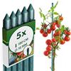 KADAX Supporti in Acciaio Plasticato - 5 x 180cmx16mm, Sostegni per Pomodori, Bastoncini di Supporto per Piante Rampicanti, Pali per Orto e Giardino