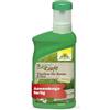 Neudorff BioKraft Vitalkur per Buxus & Ilex - concentrato rivitalizza i bossi indeboliti da parassiti, malattie, gelo e secchezza, 300 ml