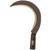 PEBSHOP RONCOLA SCANSANO CM 26