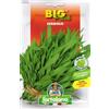 Generic Stridolo da seme in confezione Big Pack (Una bustina)