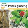 SAFLAX - Confezione regalo - Ginseng - 10 semi - Panax ginseng