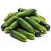 Generico Semi Cetriolo 6g | Semi da Orto Alta Germinazione | Cetrioli Croccanti e Produttivi | Ideali per Coltivazione in Orto, Vaso e Serra | Semi Professionali Multiseme
