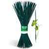Novatool 1000 stecche da 60 cm x 5,5 mm, colore verde, griglia per piante in vaso, supporto per piante da interni