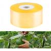 LTKJ Nastro per innesto da giardino biodegradabile per piante da frutto, 2 cm x 100 m