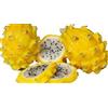 Vivaio Garden Forest, Pitaya Hylocereus undatus - Pianta cactus da frutto Dragon Fruit, Fiore notturno grande fino a 30 cm, Richiede sostegni, Ideale in vaso e serra