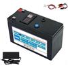 SSCYHT Pacco Batteria Litio 12 Volt Batteria Ricaricabile 12V 20Ah con Porta USB Caricabatterie Display Alimentazione LED Adatto per Illuminazione Solare Batteria Ricambio per Esterni