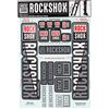 RockShox Sticker Set 35 mm Boxxer/Domain Doppia Corona, 11.4318.003.515 Pezzi di Ricambio, Bianco, Standard