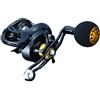 Daiwa VADEL BJ 100SHL