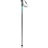 HEAD Frontside Black Green, Bastoni da Sci Unisex Adulto, Nero/Verde, 110