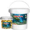 Generico Baits Tandem Boilies per Carpa, Pastura e Mangime da Pesca, Barattolo Ermetico