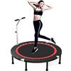 Trampolini 48 Trampolino per Il Fitness con Manico in Schiuma Regolabile, Adulti Indoor/Outdoor Workout Mini Rebounder, Carico Max 300kg