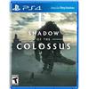 Playstation Sony Shadow of the Colossus Basic PlayStation 4 videogioco